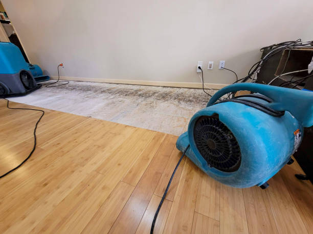 Professional Burst Pipe Water Damage technician working in Lake Worth, FL